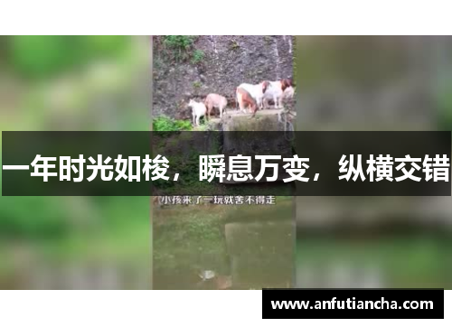 一年时光如梭，瞬息万变，纵横交错